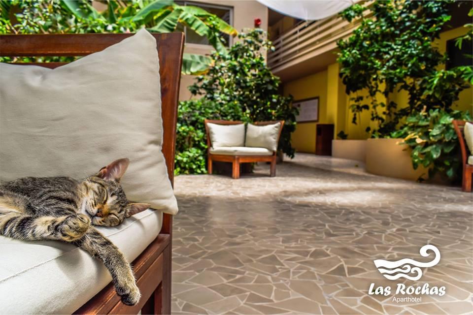 Las Rochas ミンデロ エクステリア 写真
